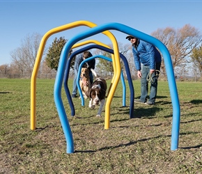 Play4Pups Weave Hoops