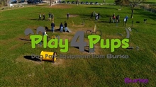 Play4Pups 