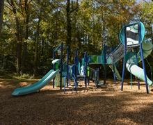 Hampton Park 